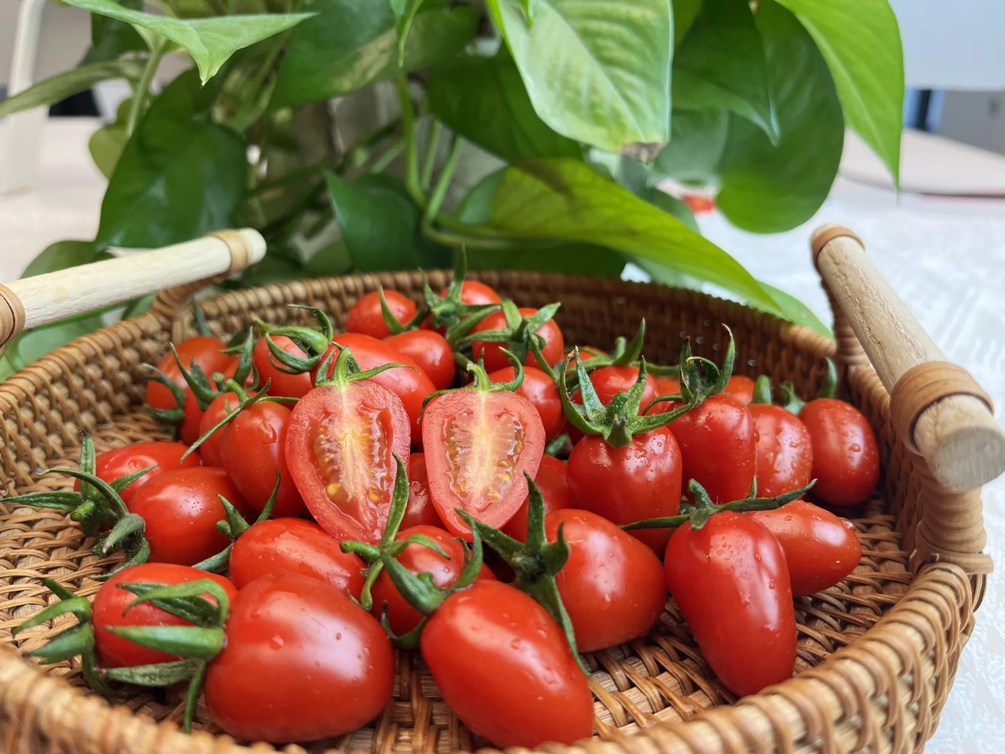 Cherry Tomatoes
