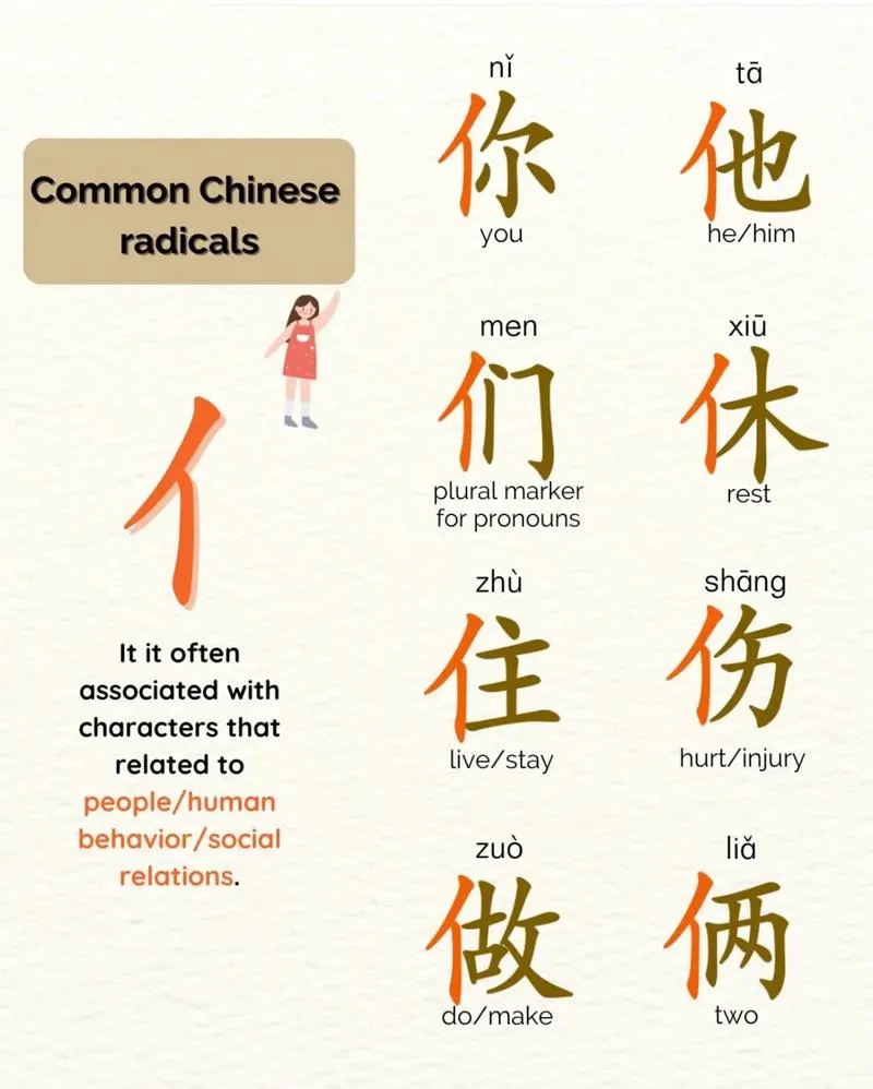 Common Chinese Radicals Example