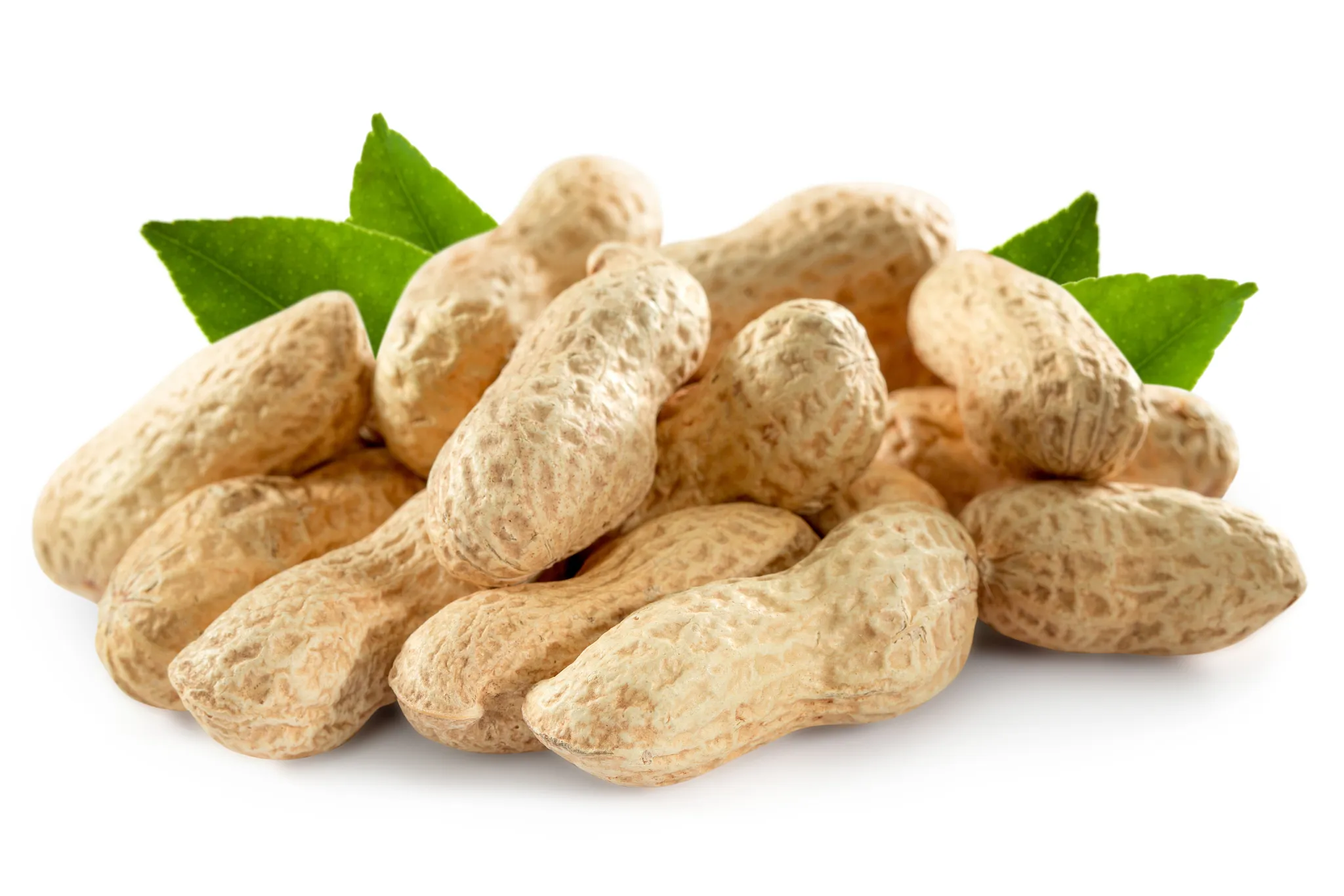 peanuts